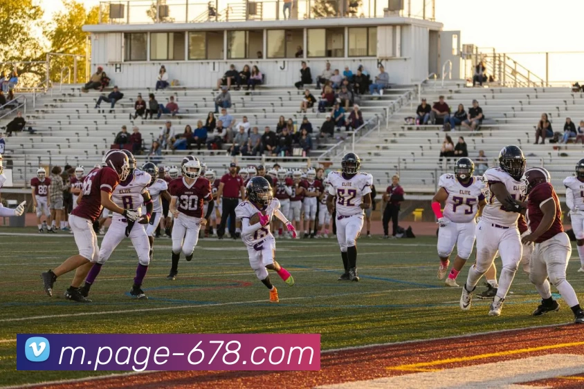 App Interface Preview