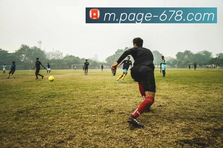 678体育APP 封面图